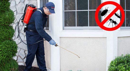 Akkuş Fare İlaçlama böcek ilaçlama ve haşere kontrolü — ilaclama-tr.com